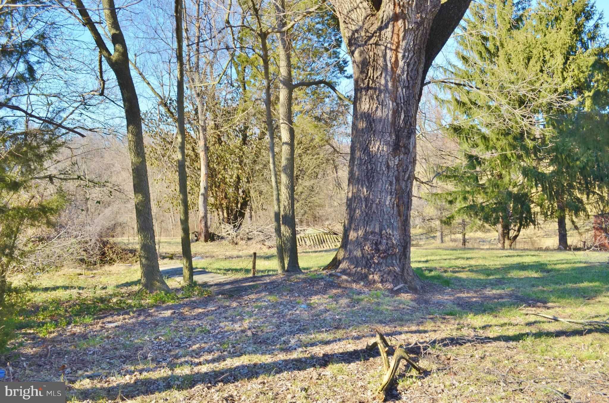 0 South Ox Road Woodstock, VA 22664 - Photo 5 of 9