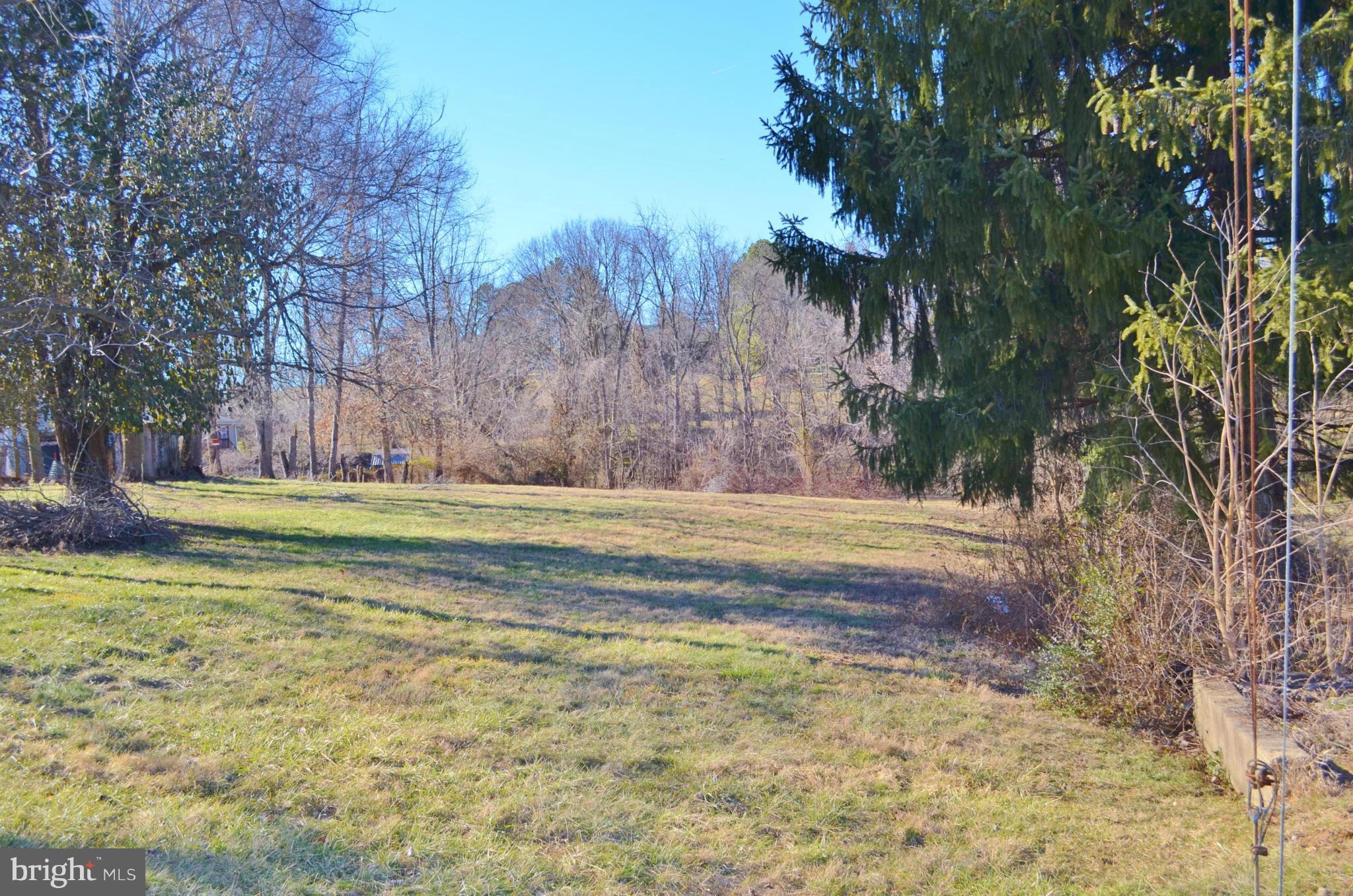 0 South Ox Road Woodstock, VA 22664 - Photo 6 of 9 a view of yard with large trees