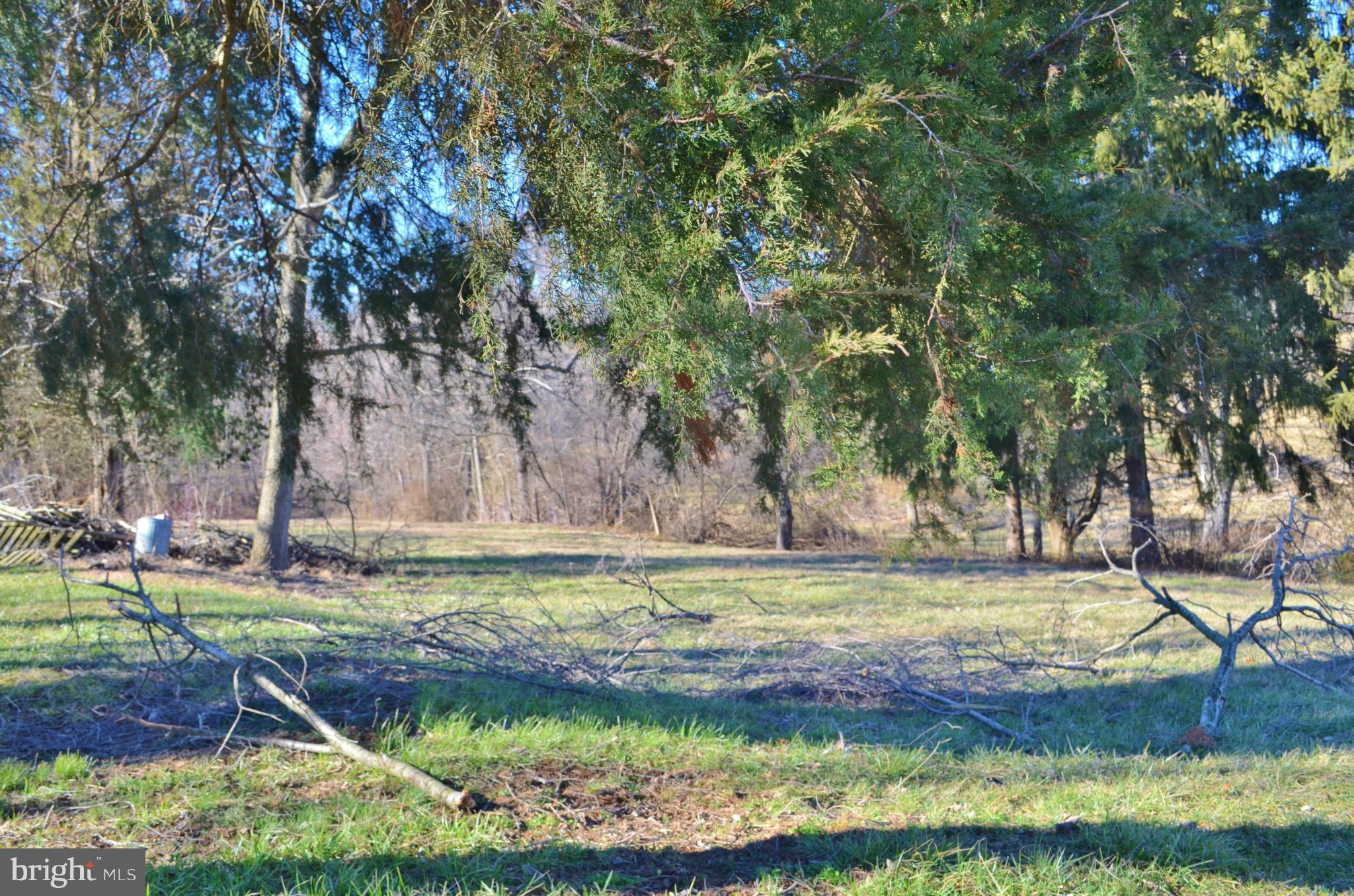 0 South Ox Road Woodstock, VA 22664 - Photo 8 of 9 a view of a backyard with large trees