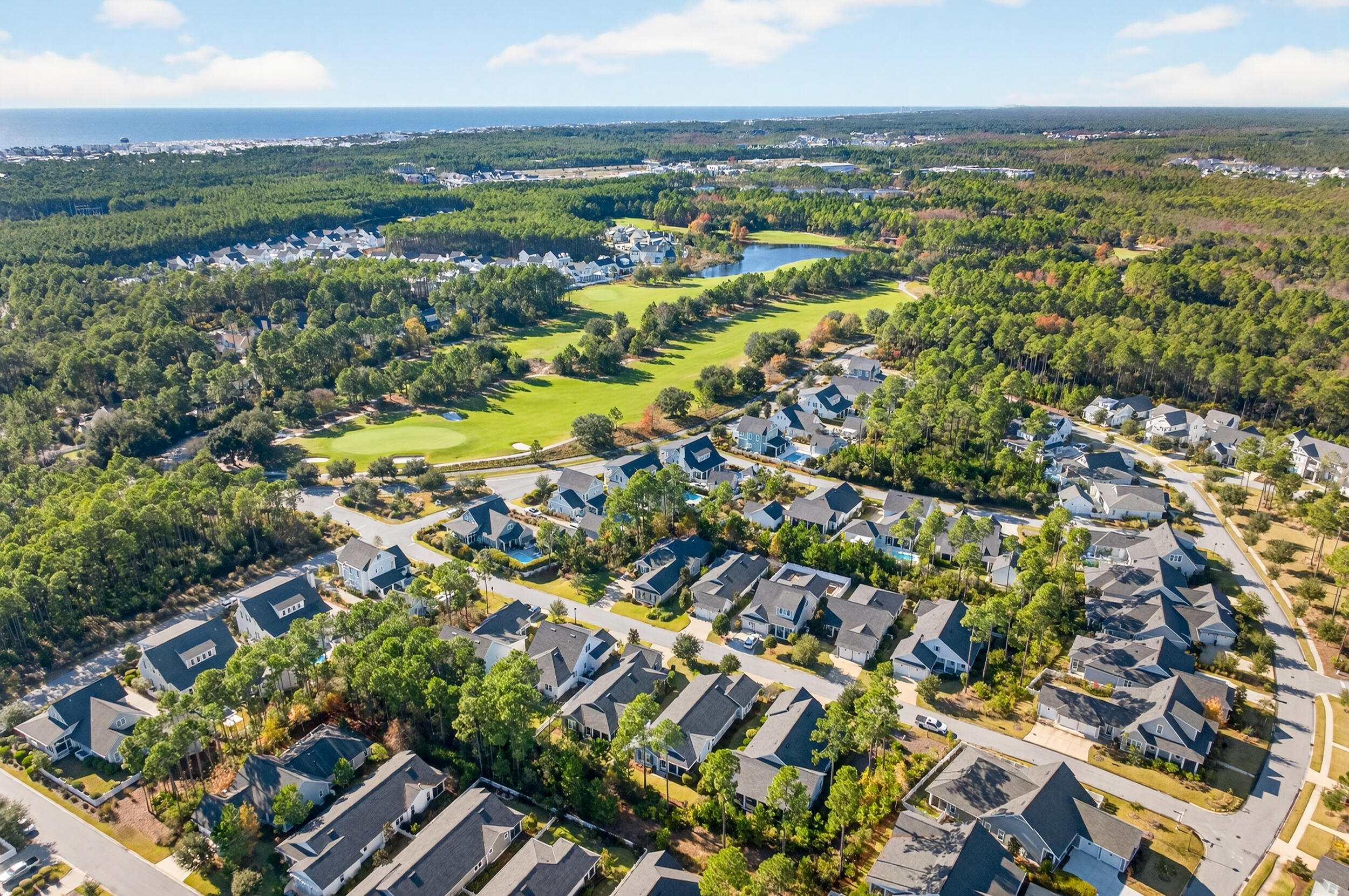102 Firefly Way Watersound, FL 32461 - Photo 45 of 50 DJI_0065