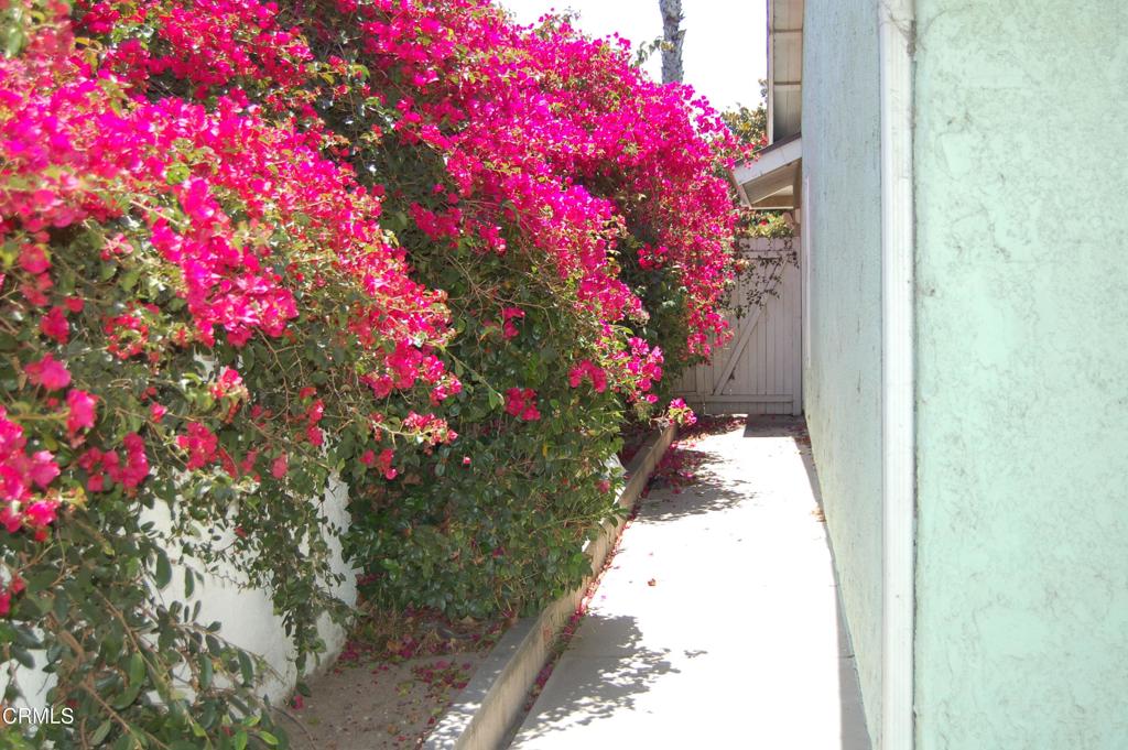 301 Geranium Place Oxnard, CA 93036 - Photo 11 of 11 DSC_1124
