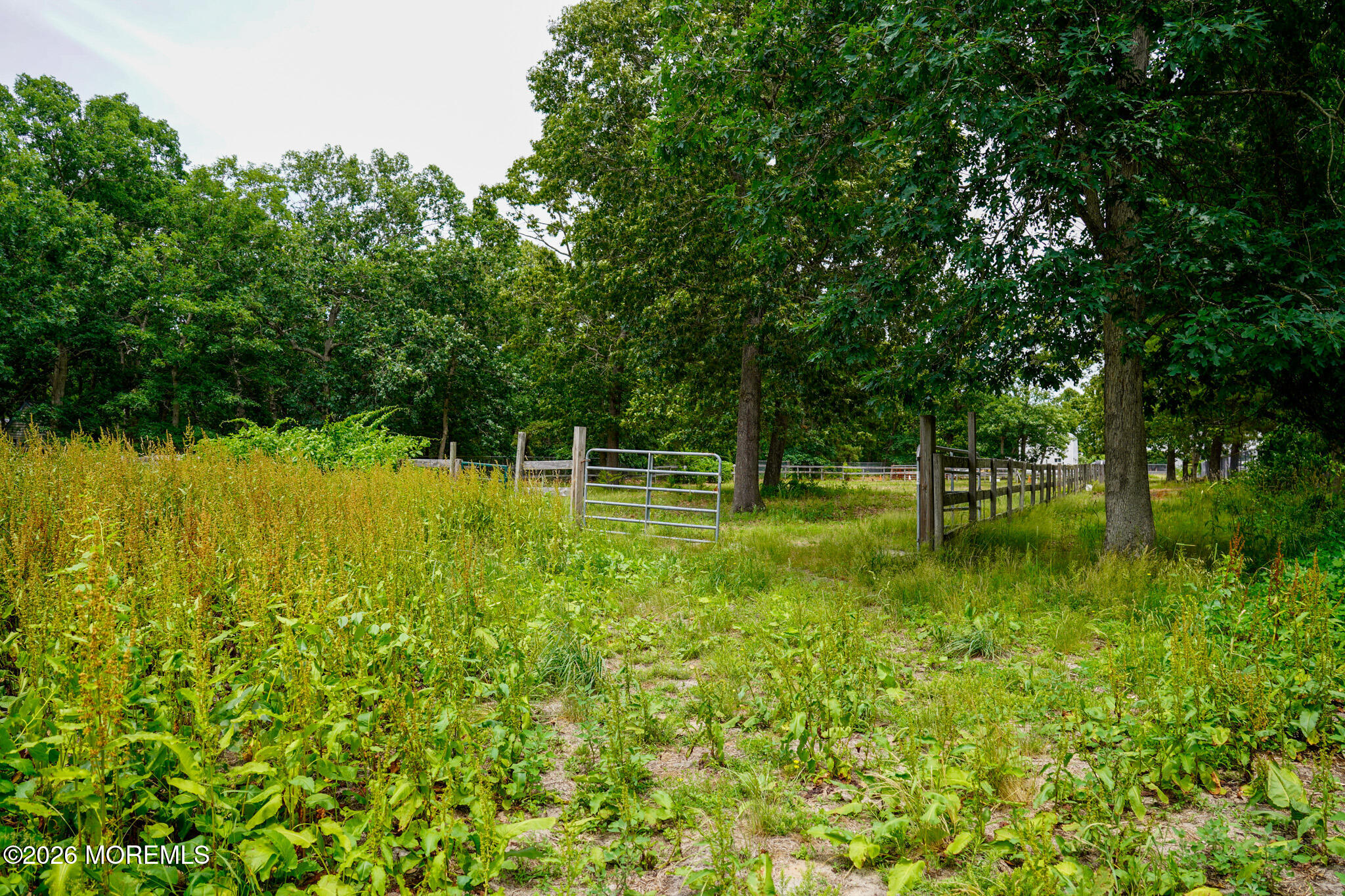 160 Lanes Pond Road Howell, NJ 07731 - Photo 26 of 30 _DSC5715