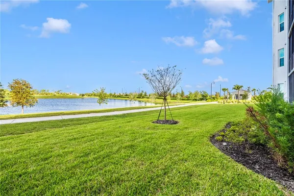 a view of a park with large trees