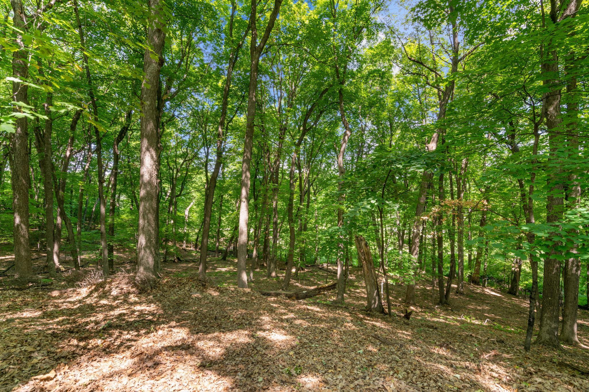 4300 X Ridge Court Minnetonka, MN 55345 - Photo 7 of 12