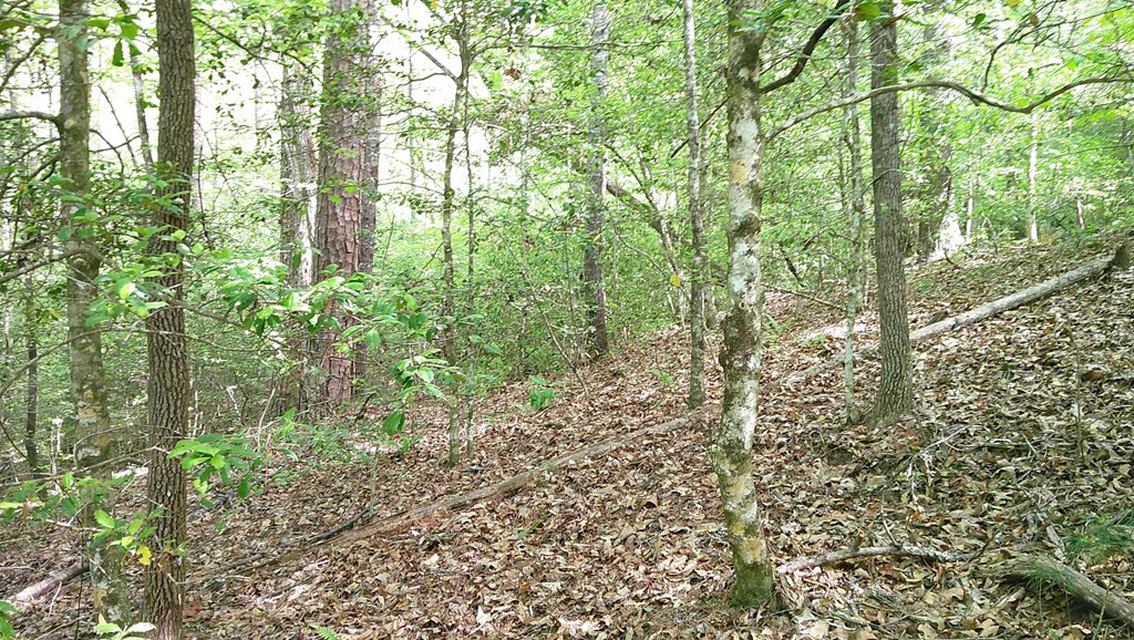 Lot 9 Mcdonald Road Murphy, NC 28906 - Photo 10 of 12