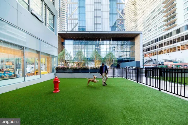 a garden view with a sitting space