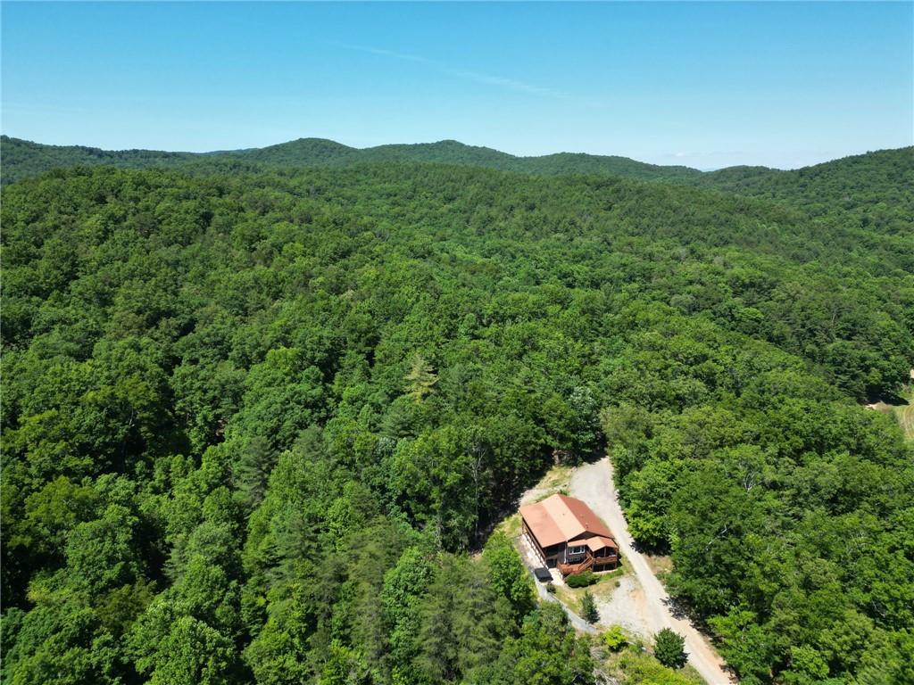 32 Ivey Ridge Road Suches, GA 30572 - Photo 41 of 47
