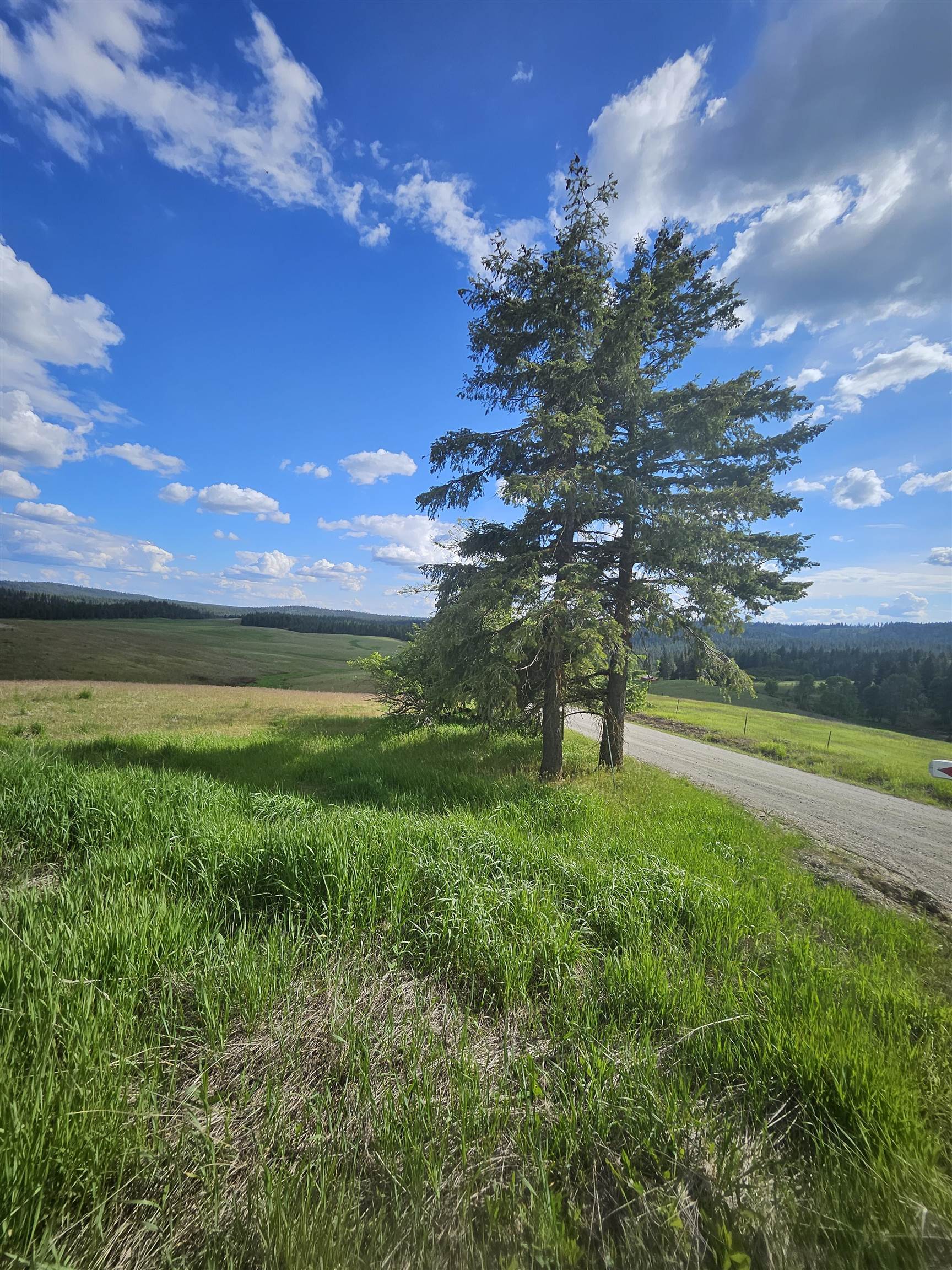 52-xx Wagner Road Springdale, WA 99173 - Photo 11 of 15