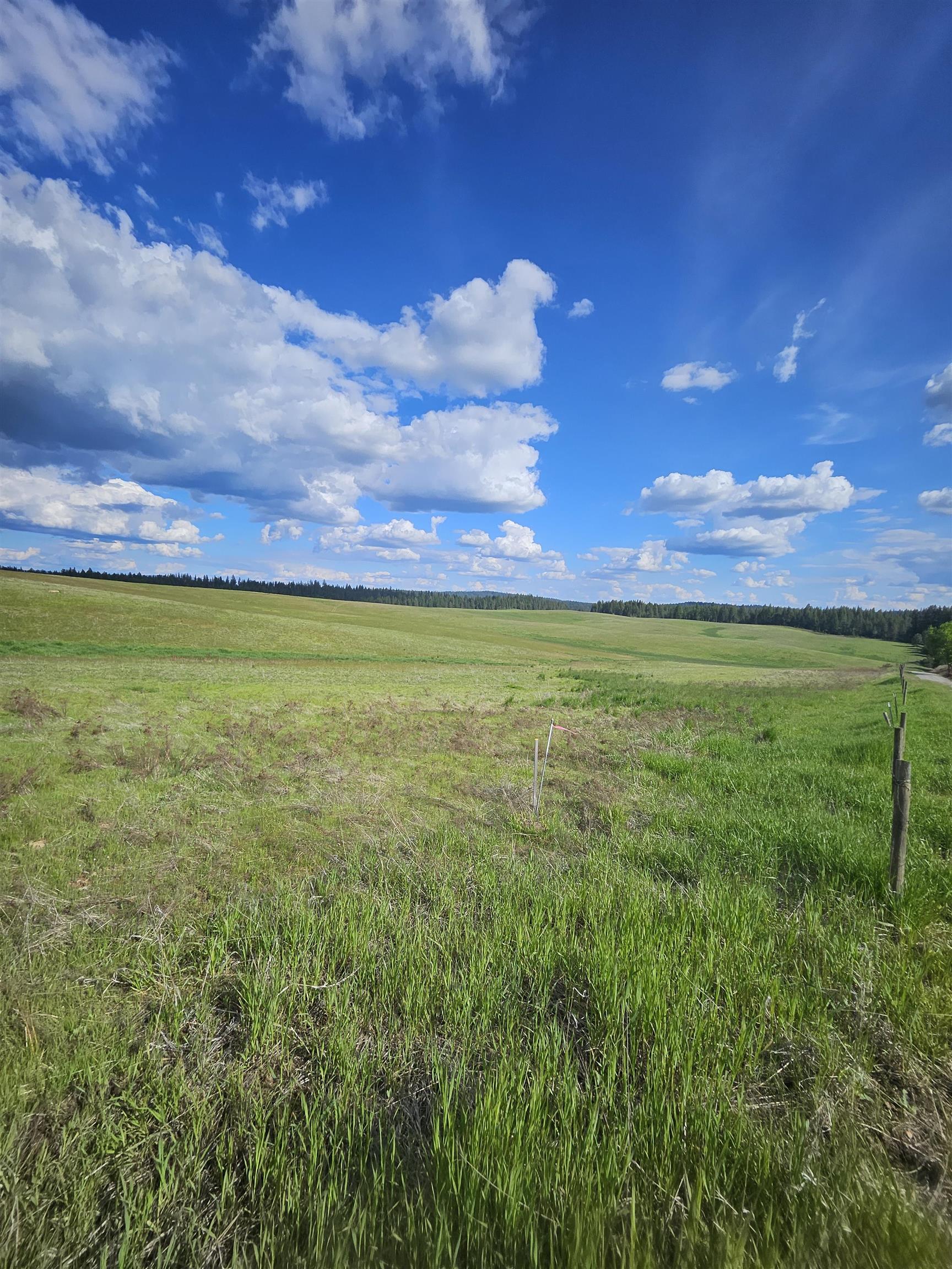 52-xx Wagner Road Springdale, WA 99173 - Photo 13 of 15