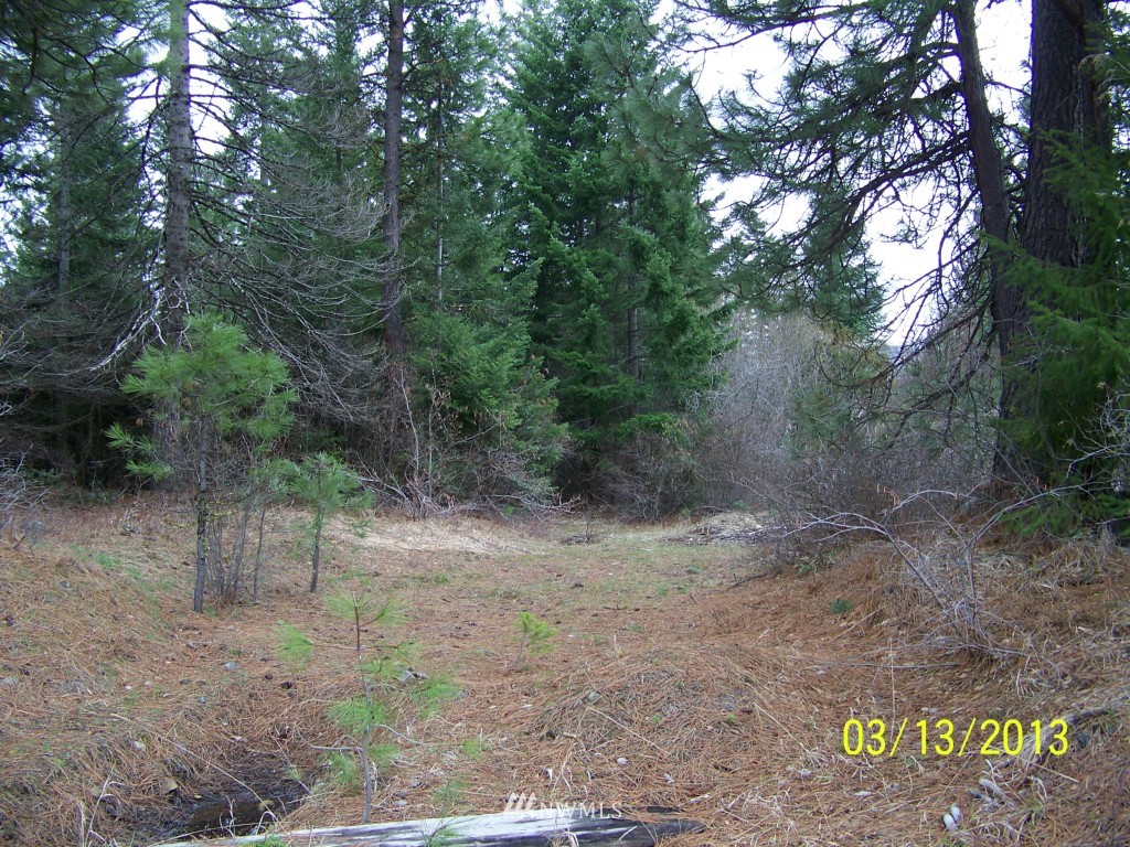 2 Bakers Road Ronald, WA 98940 - Photo 10 of 10 Gallery Image 10