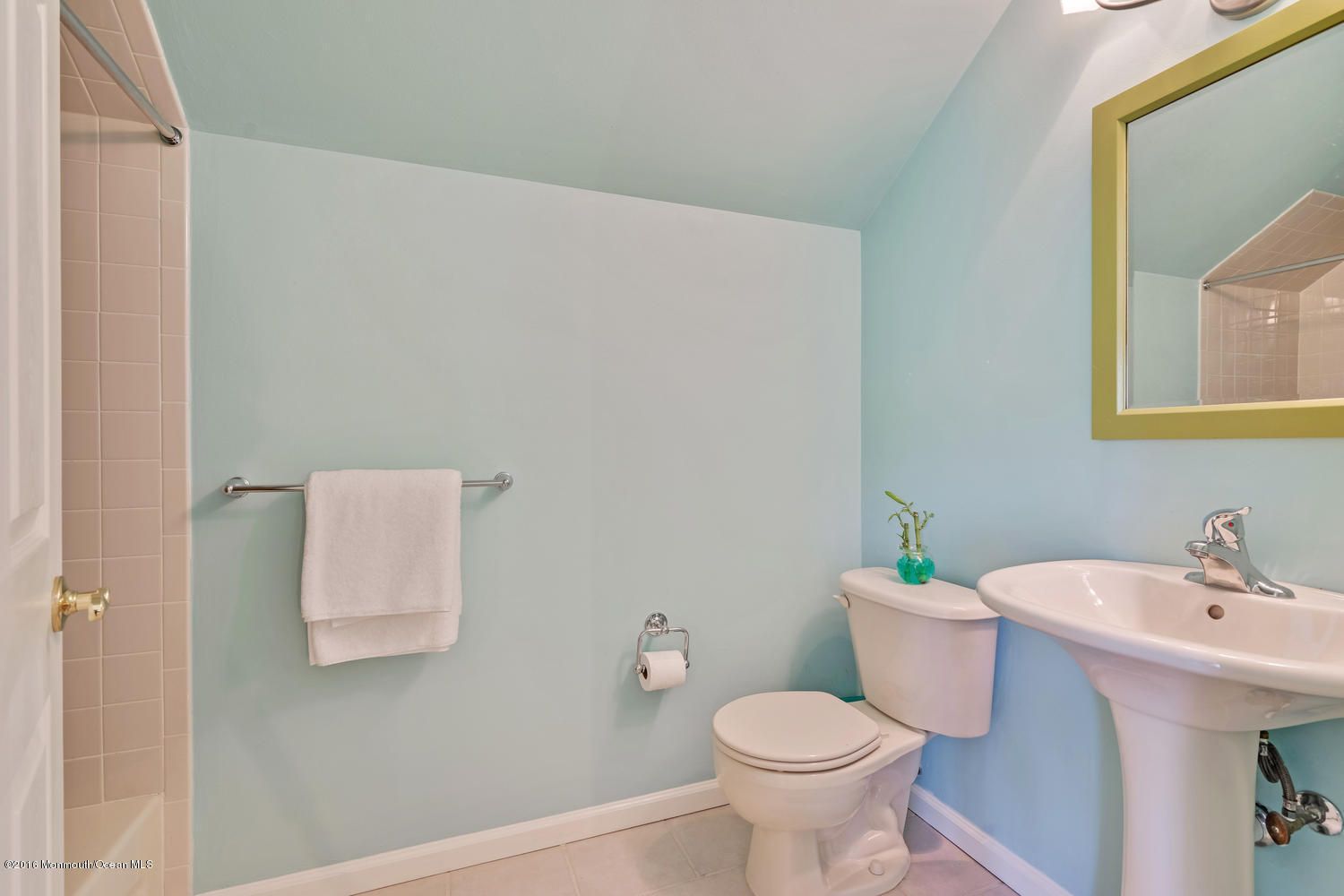 11 Risa Benjamin Way Freehold, NJ 07728 - Photo 55 of 74 11 Risa Benjamin Way Freehold-large-081-