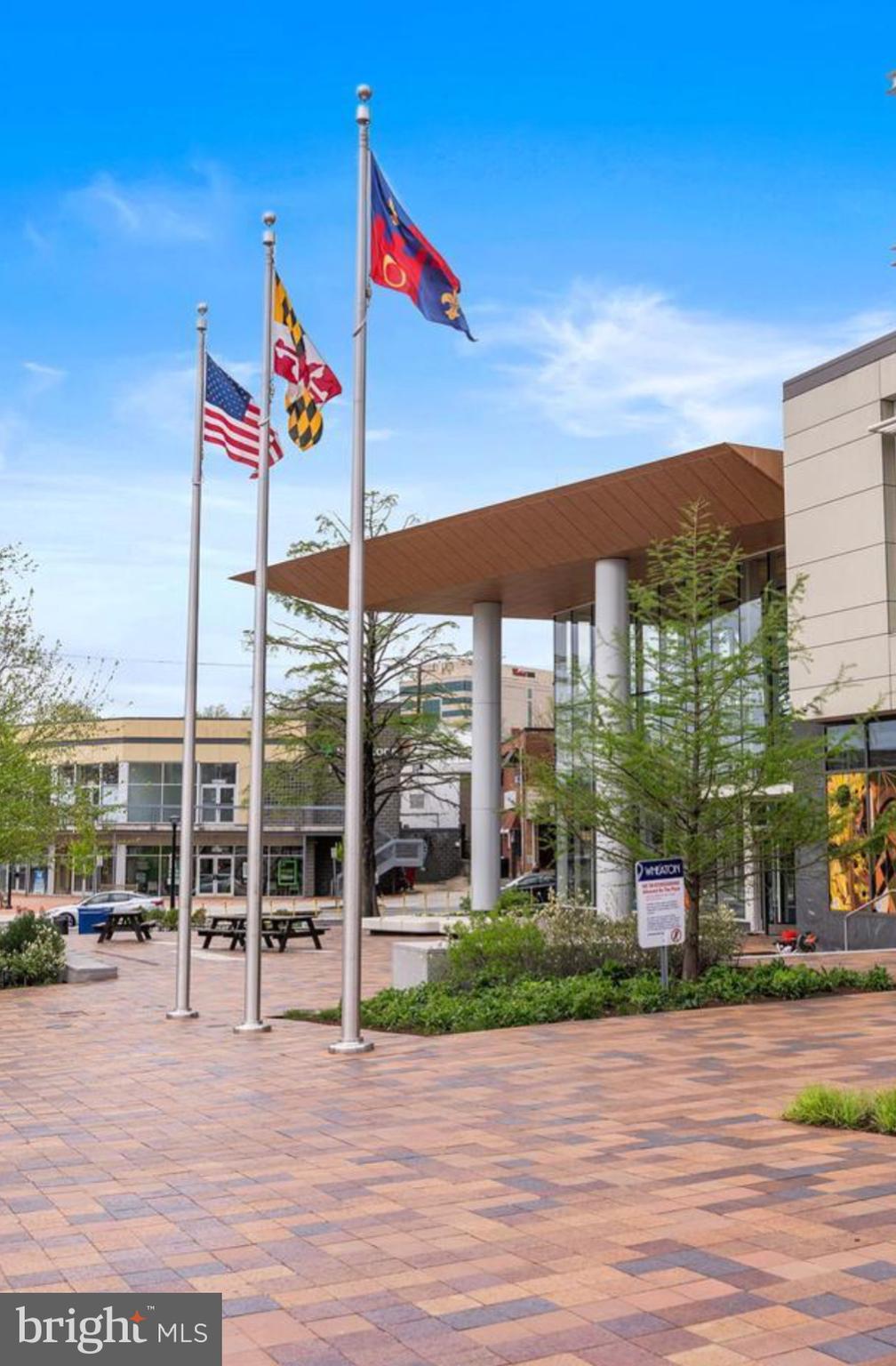 2046 University Boulevard West, Unit 12 Silver Spring, MD 20902 - Photo 51 of 64