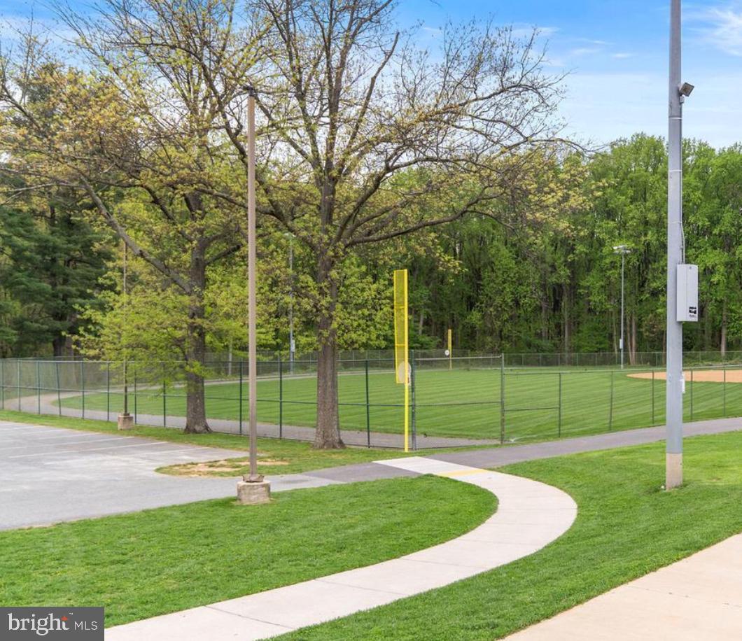2046 University Boulevard West, Unit 12 Silver Spring, MD 20902 - Photo 62 of 64 a view of a park with a large tree