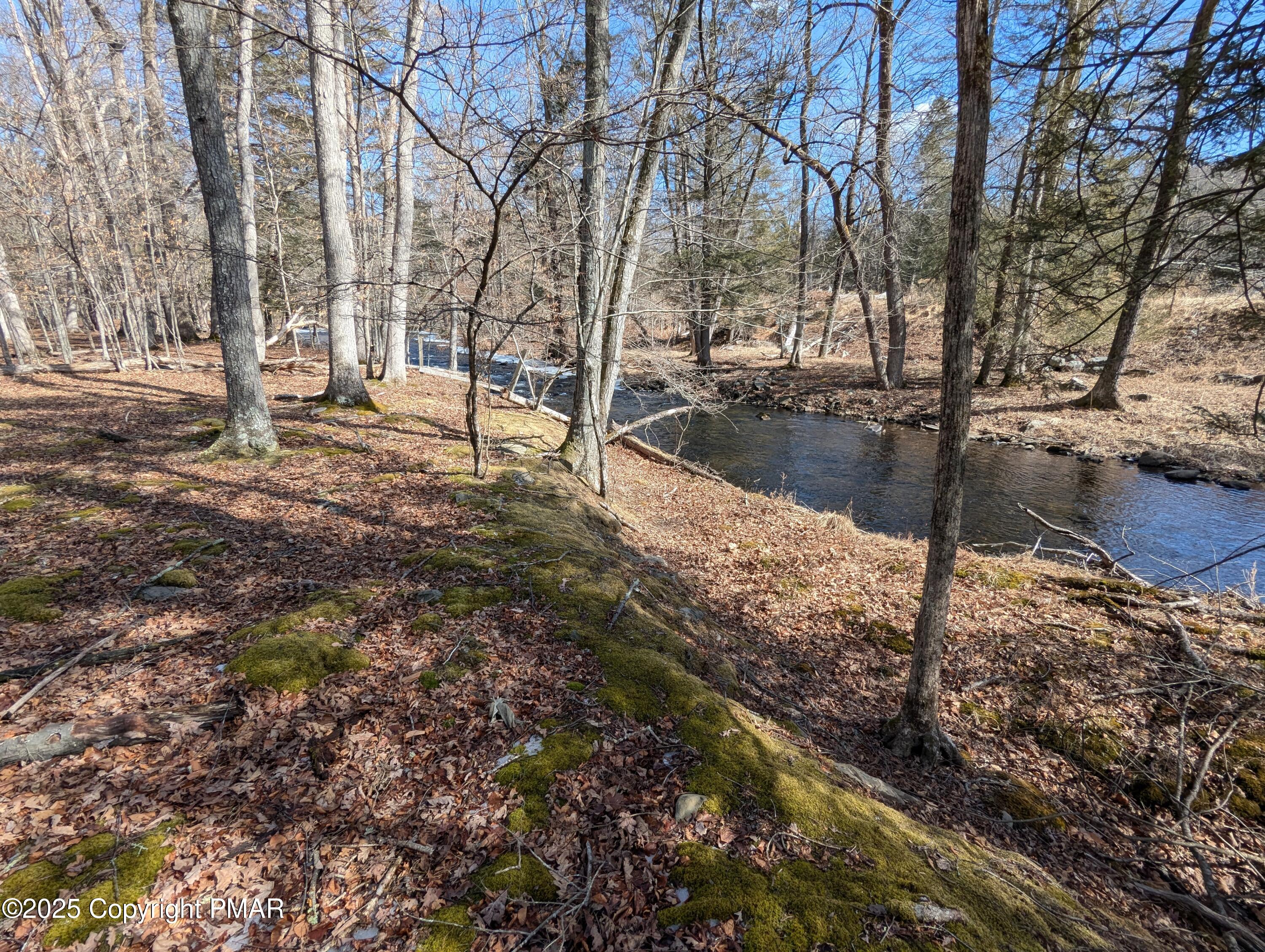 Lot 177 Decker Road Bushkill, PA 18324 - Photo 4 of 4 a view of a yard with trees