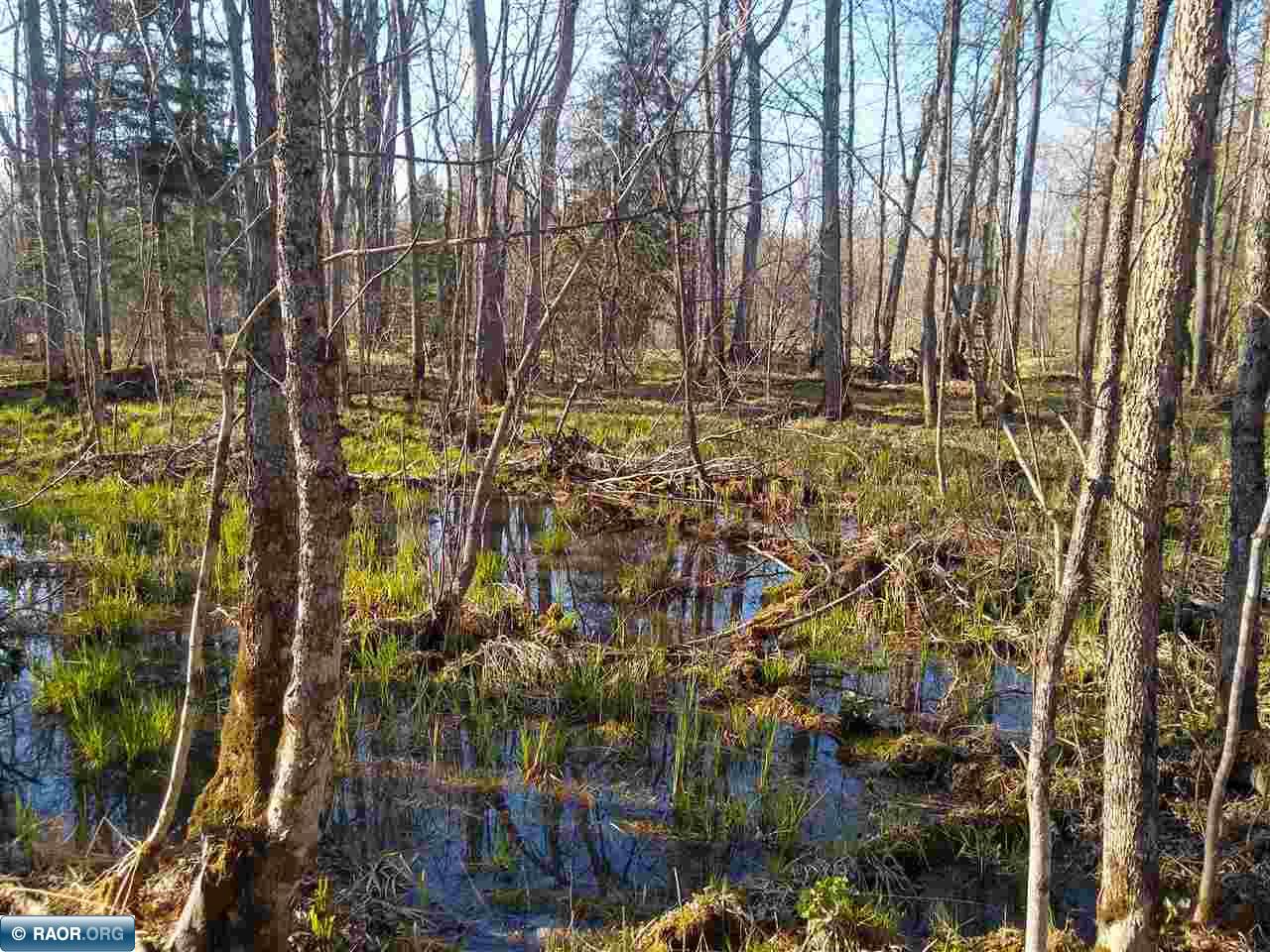 61-xxx Itasca Road Cook, MN 55723 - Photo 3 of 7 Gallery Image 3