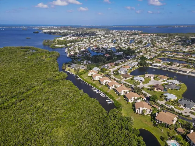 a view of a house with a palm tree