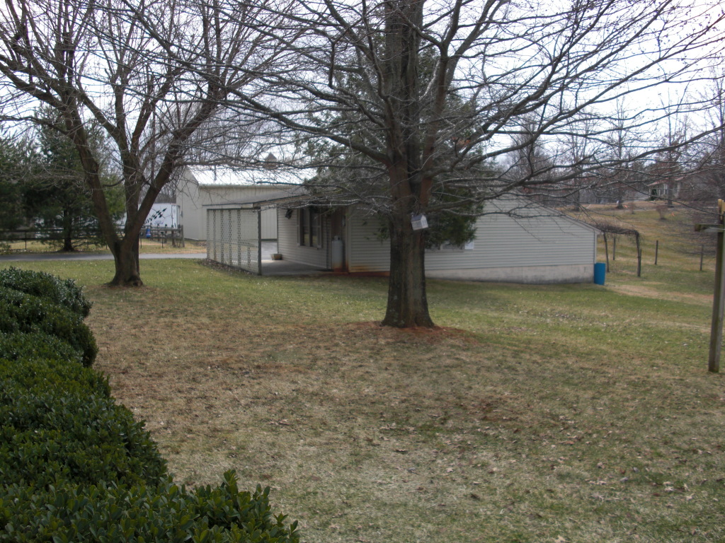 12083 Hardy Road Hardy, VA 24101 - Photo 17 of 19 a view of a yard with a tree