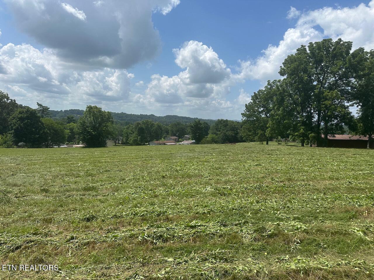 1035 Green Road Madisonville, TN 37354 - Photo 31 of 46 IMG_1205