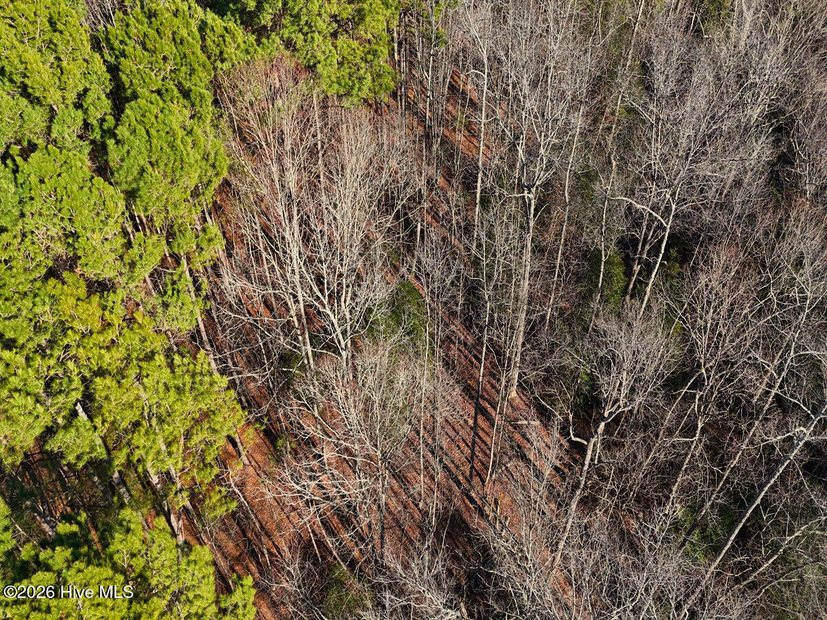 0 Nc 98 Hwy Spring Spring Hope, NC 27882 - Photo 9 of 39 9. Drone Photo