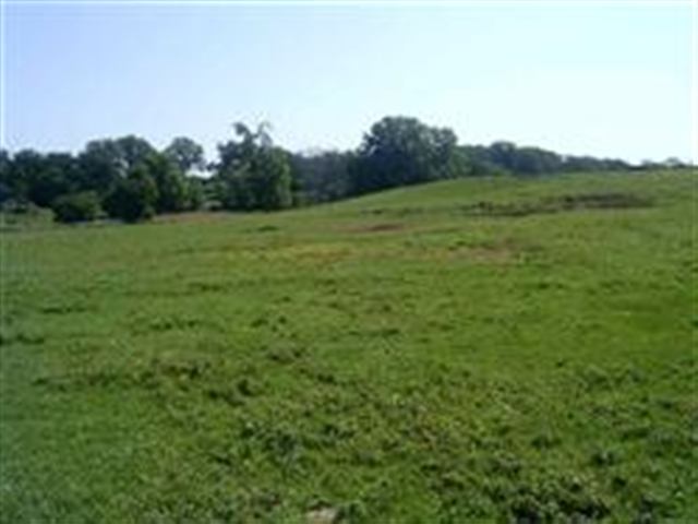 1018 Hopewell Road Lacon, IL 61540 - Photo 5 of 6 Gallery Image 5