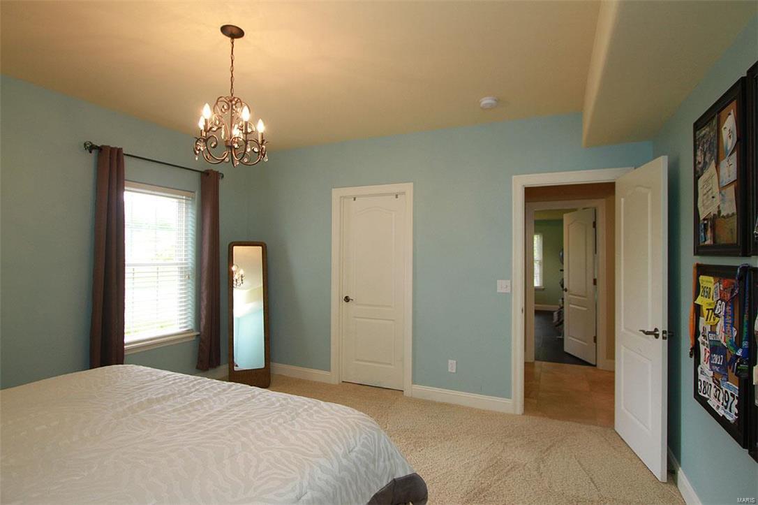 2907 Steppig Road Columbia, IL 62236 - Photo 45 of 71
