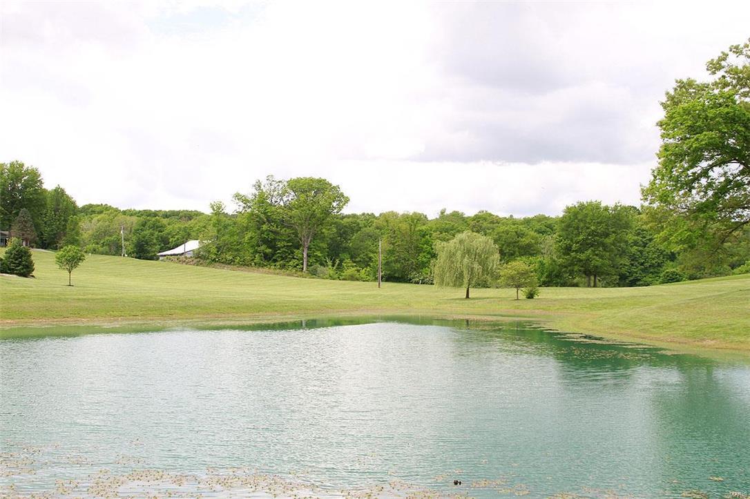 2907 Steppig Road Columbia, IL 62236 - Photo 64 of 71