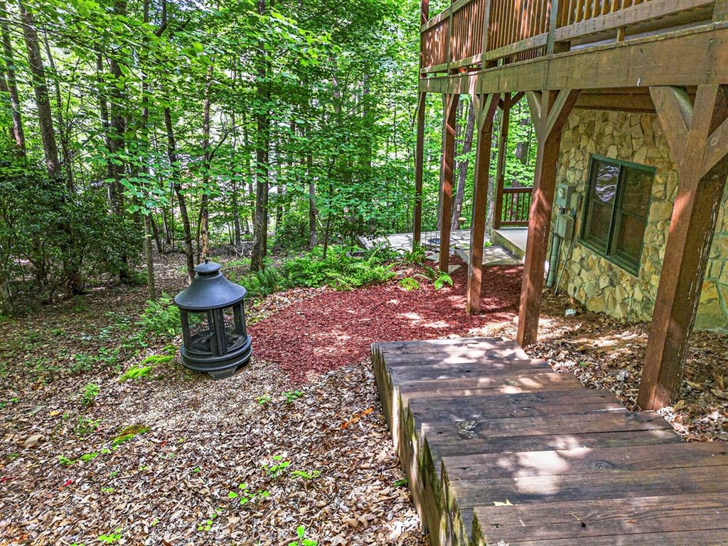 115 Lakota Trail Blue Ridge, GA 30513 - Photo 42 of 49 a view of a garden with potted plants