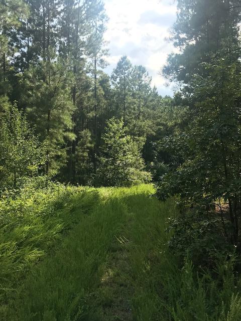17 Q Armstrong Ferry Road Dayton, TN 37321 - Photo 1 of 20 17 ground 7