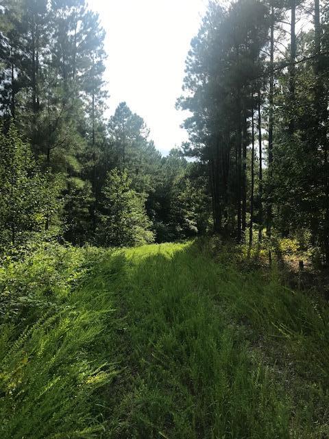 17 Q Armstrong Ferry Road Dayton, TN 37321 - Photo 4 of 20 17 ground 4