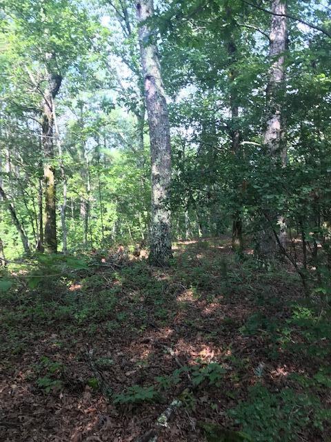 17 Q Armstrong Ferry Road Dayton, TN 37321 - Photo 6 of 20 17 ground 2