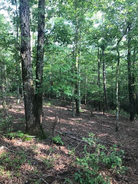 17 Q Armstrong Ferry Road Dayton, TN 37321 - Photo 7 of 20 17 ground
