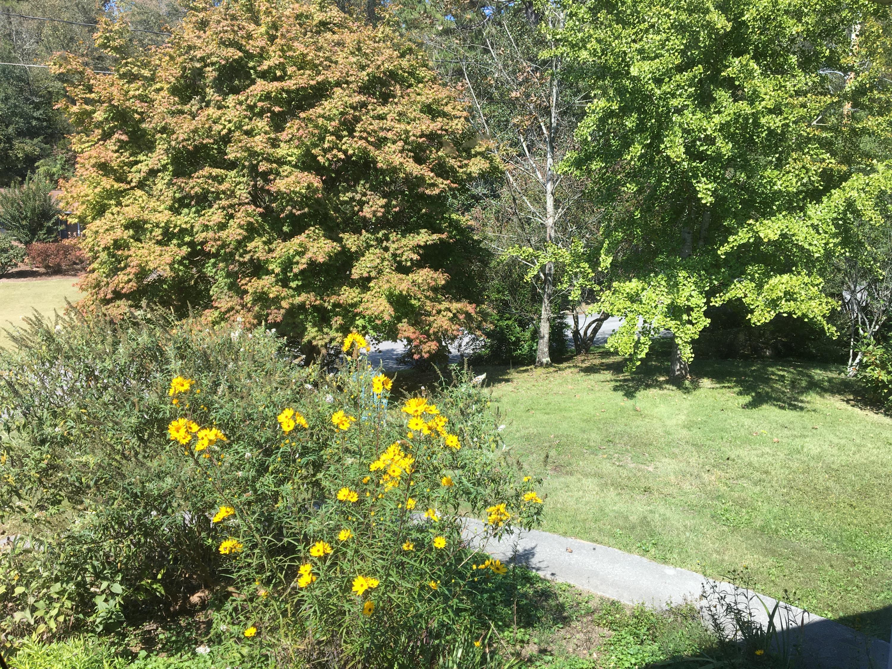 102 Newhaven Road Oak Ridge, TN 37830 - Photo 32 of 33 IMG_4365