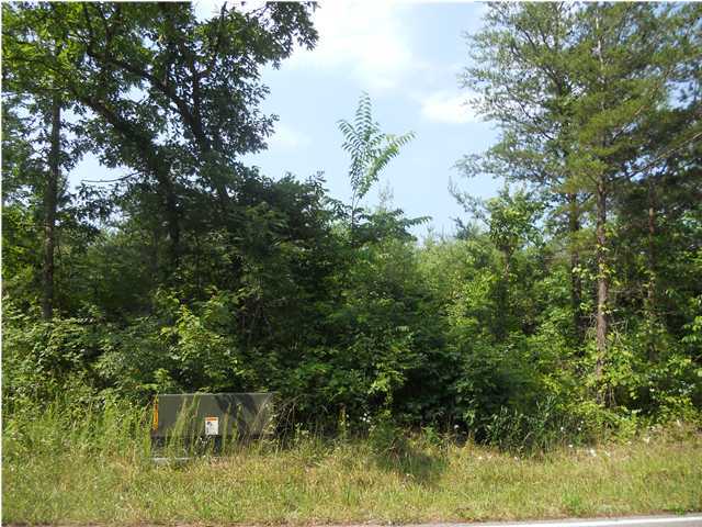 0 Rocky River Road Doyle, TN 38559 - Photo 1 of 8 Primary Photo