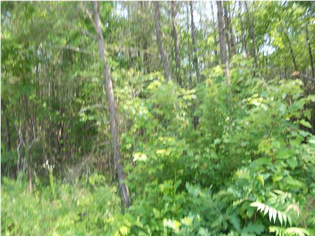 0 Rocky River Road Doyle, TN 38559 - Photo 2 of 8 Additional Photo