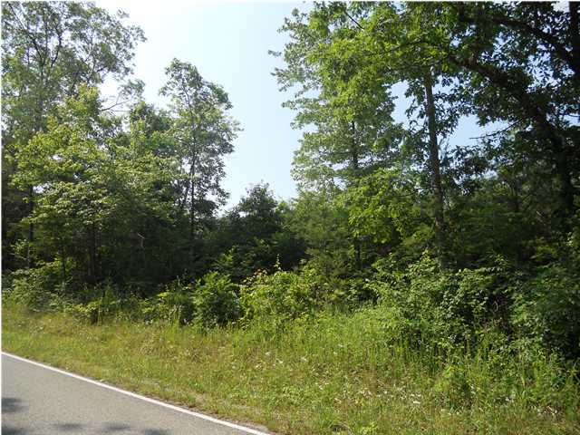 0 Rocky River Road Doyle, TN 38559 - Photo 4 of 8 Additional Photo