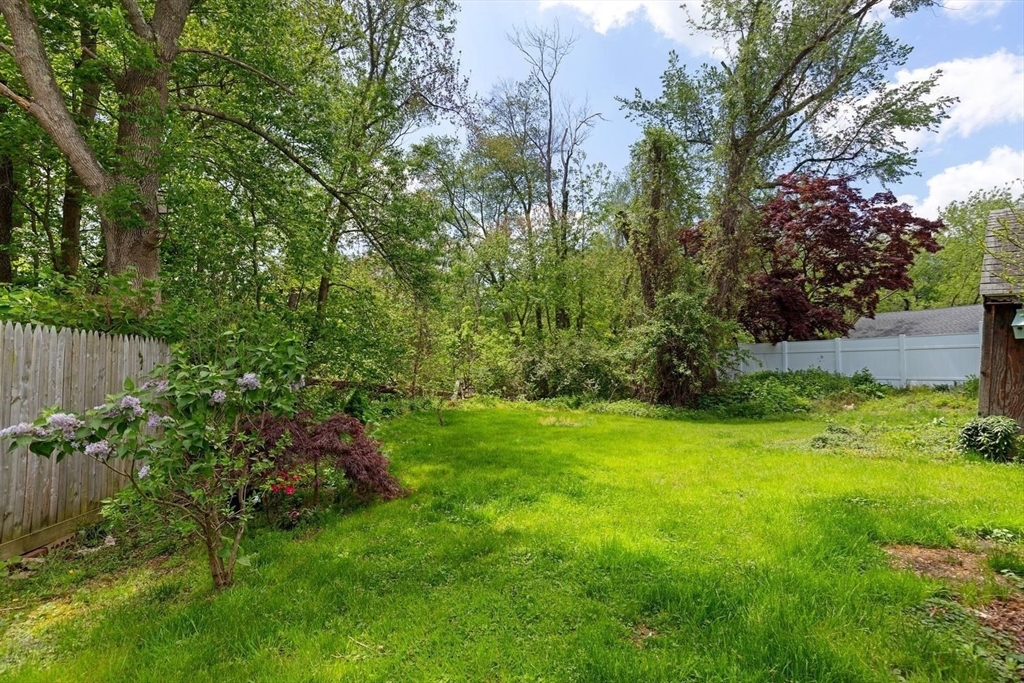 19 Butler Avenue Wakefield, MA 01880 - Photo 31 of 33 a view of a yard with a tree