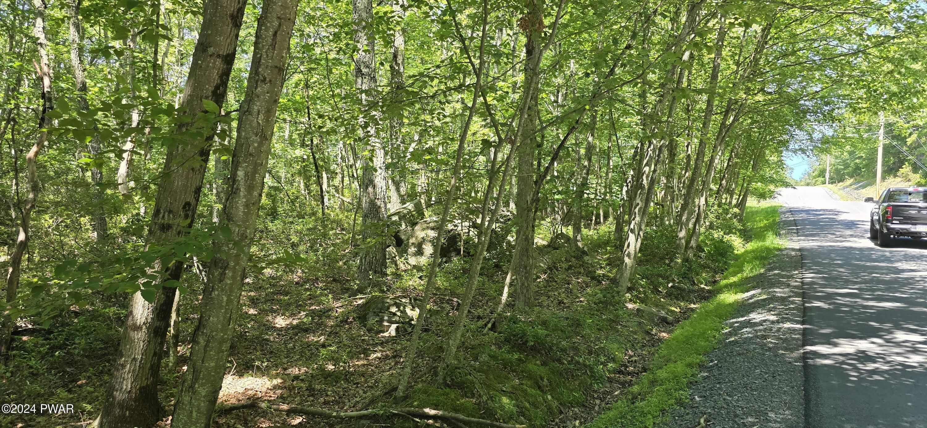 Cayuga Trail Milford, PA 18337 - Photo 15 of 20