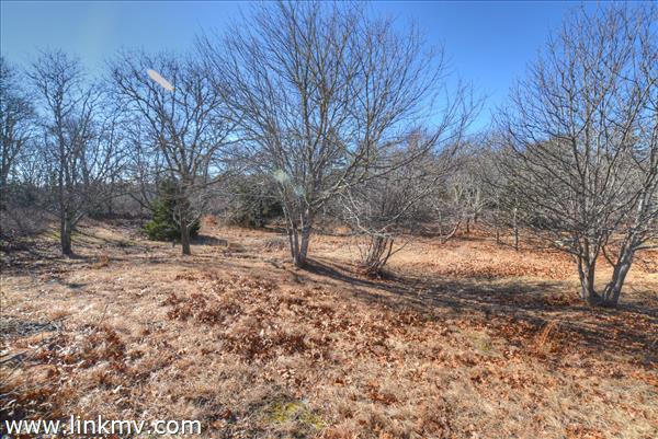 8 Smith Lane Chilmark, MA 02535 - Photo 2 of 15 http://d1qzqeyxiitrap.cloudfront.net/photos/34768/600/1fb0f7d0.jpg