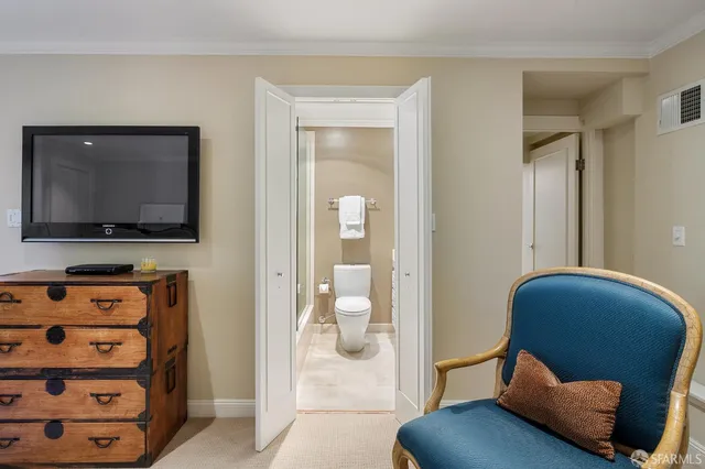 a view of a garden with plants