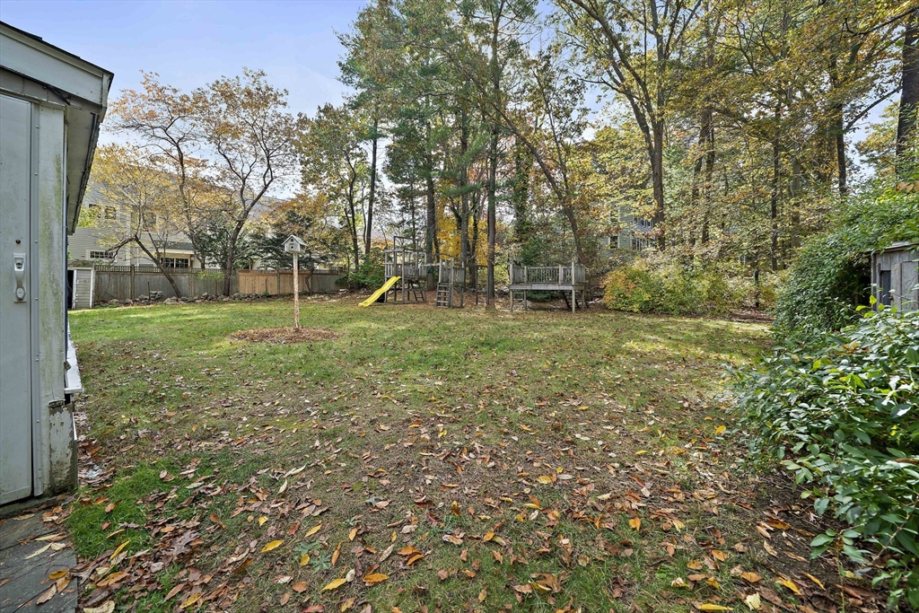 24 Sagamore Street Hamilton, MA 01982 - Photo 31 of 37 a view of a tree in a yard