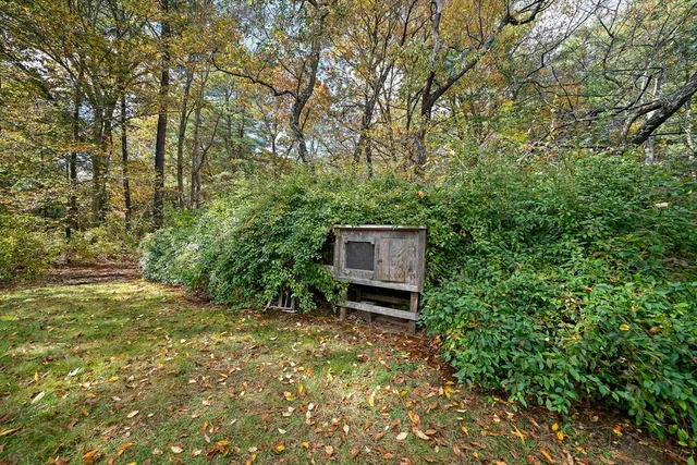 a view of a backyard with trees