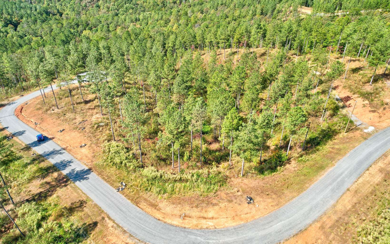 62 Seven Mile Creek Road Talking Rock, GA 30175 - Photo 11 of 17 Additional View