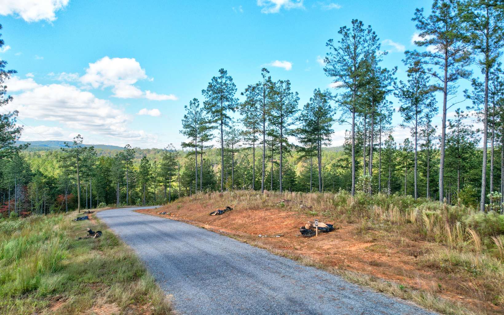 62 Seven Mile Creek Road Talking Rock, GA 30175 - Photo 3 of 17 Additional View