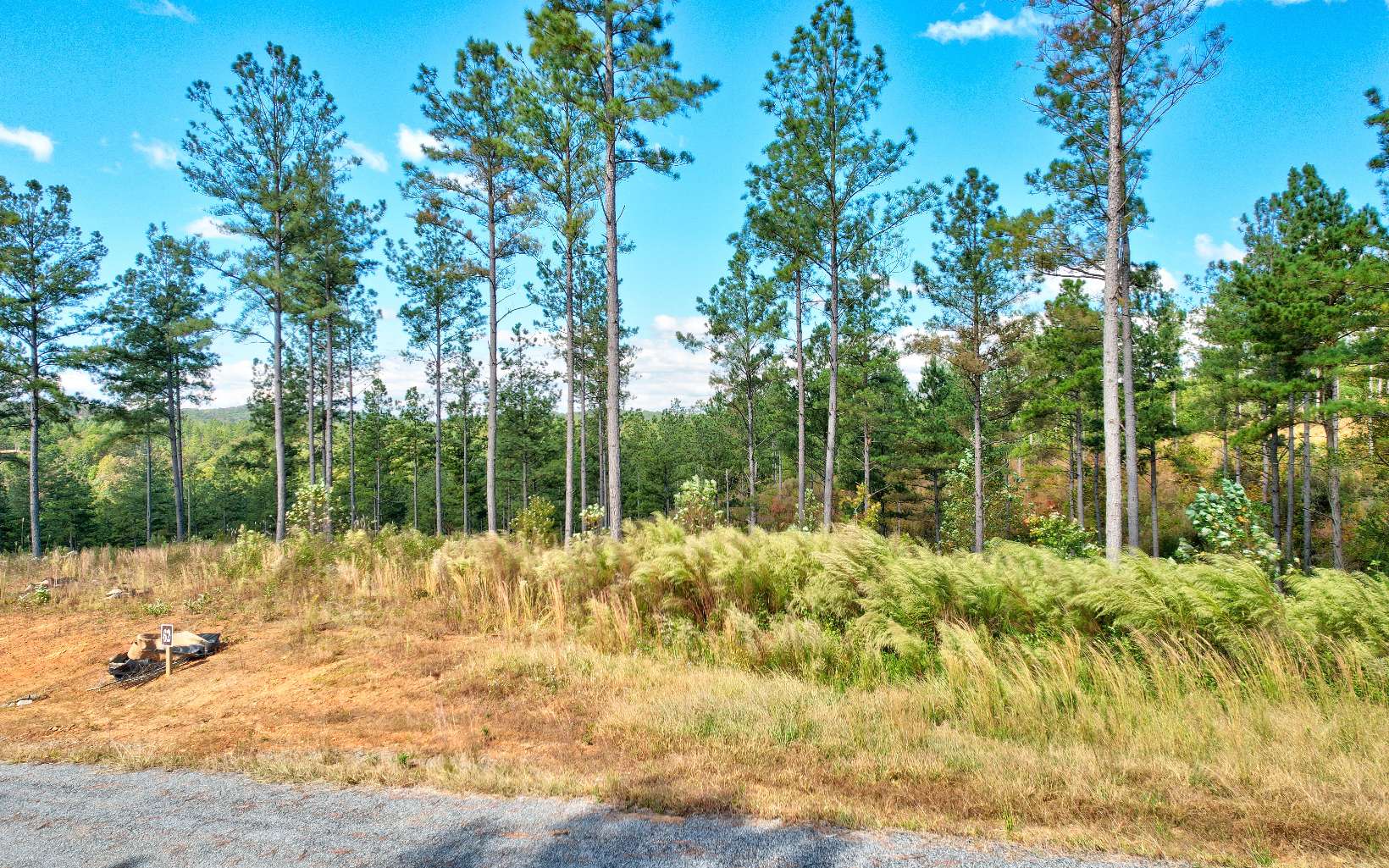 62 Seven Mile Creek Road Talking Rock, GA 30175 - Photo 4 of 17 Additional View