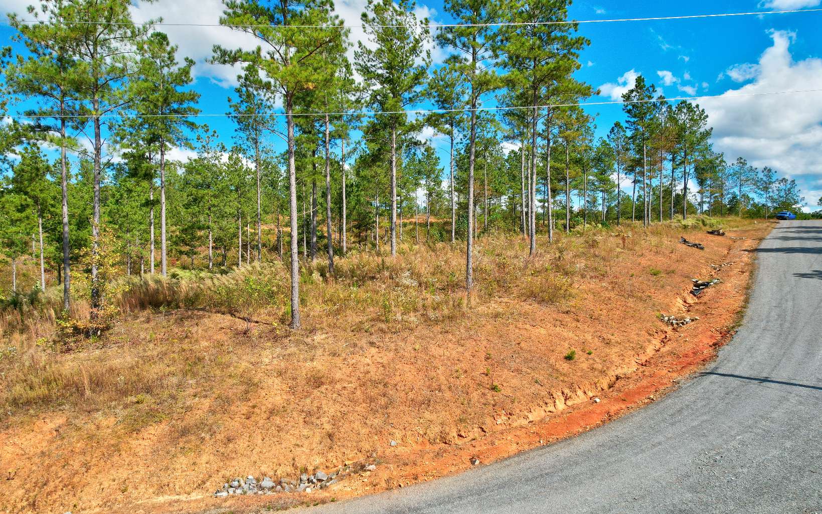 62 Seven Mile Creek Road Talking Rock, GA 30175 - Photo 5 of 17 Additional View