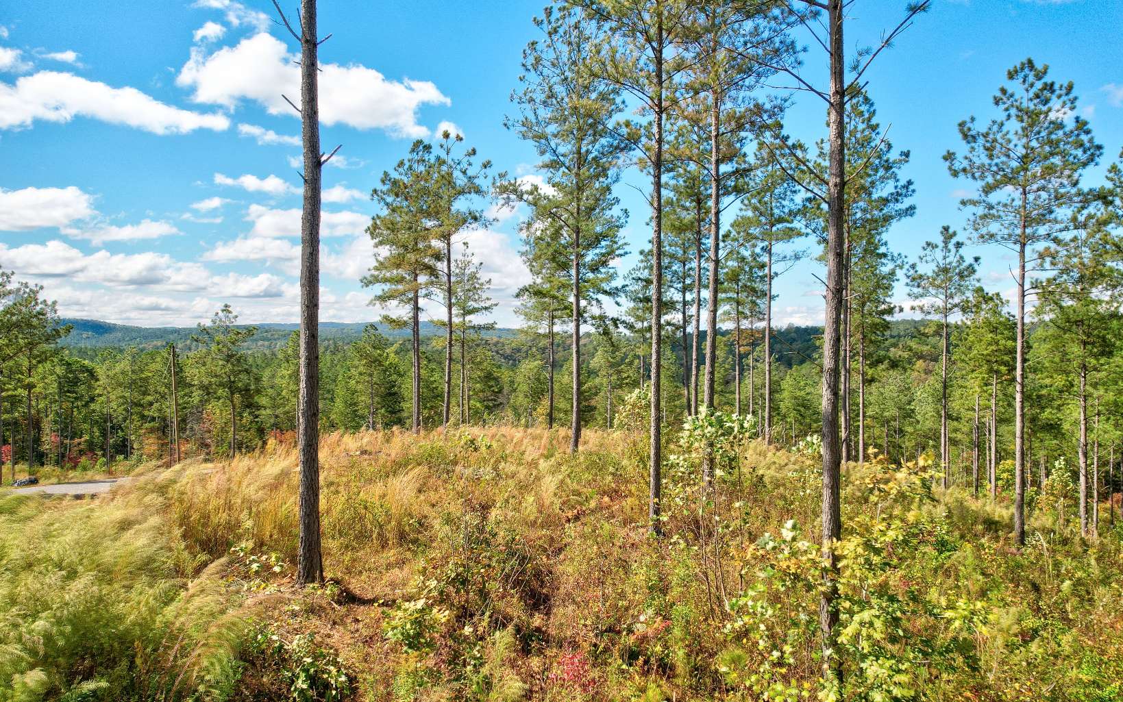 62 Seven Mile Creek Road Talking Rock, GA 30175 - Photo 7 of 17 Additional View