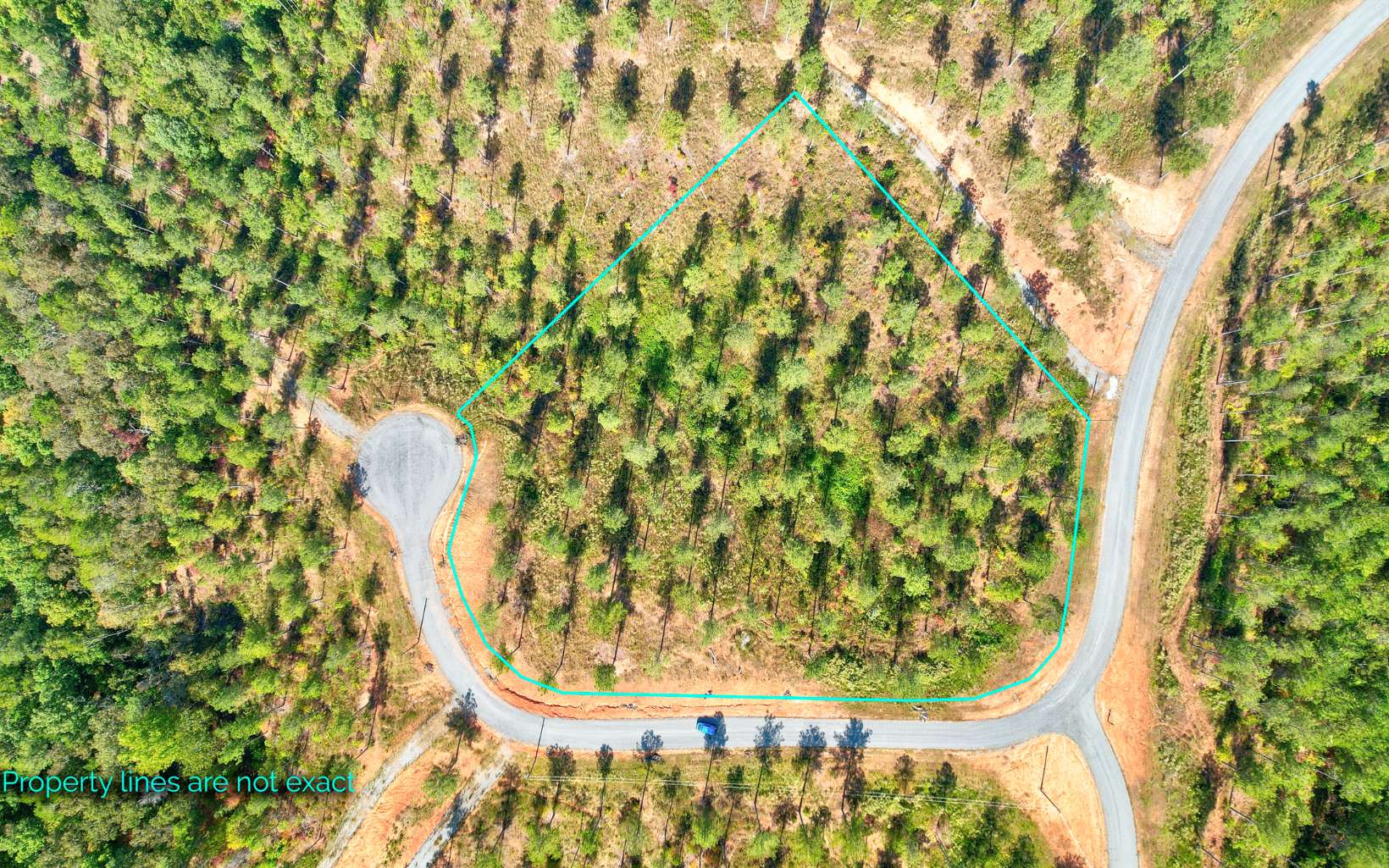 62 Seven Mile Creek Road Talking Rock, GA 30175 - Photo 10 of 17 Additional View