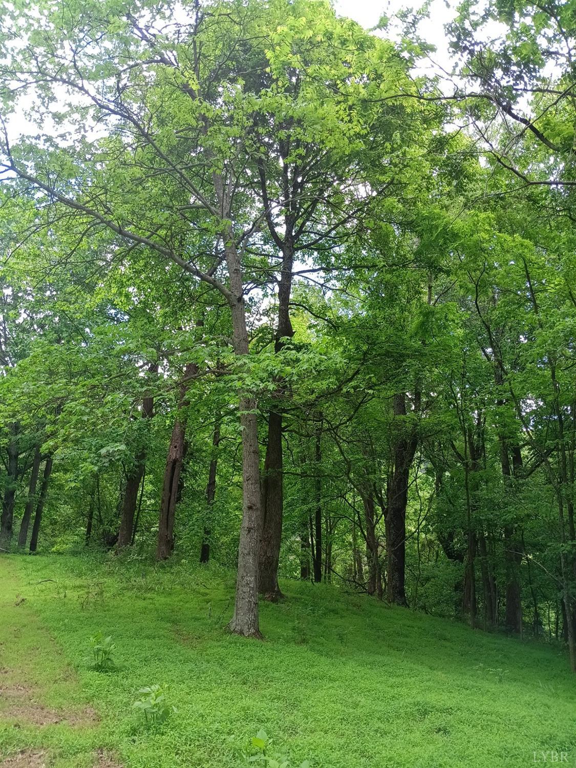 0 North Fork Road Amherst, VA 24521 - Photo 21 of 27