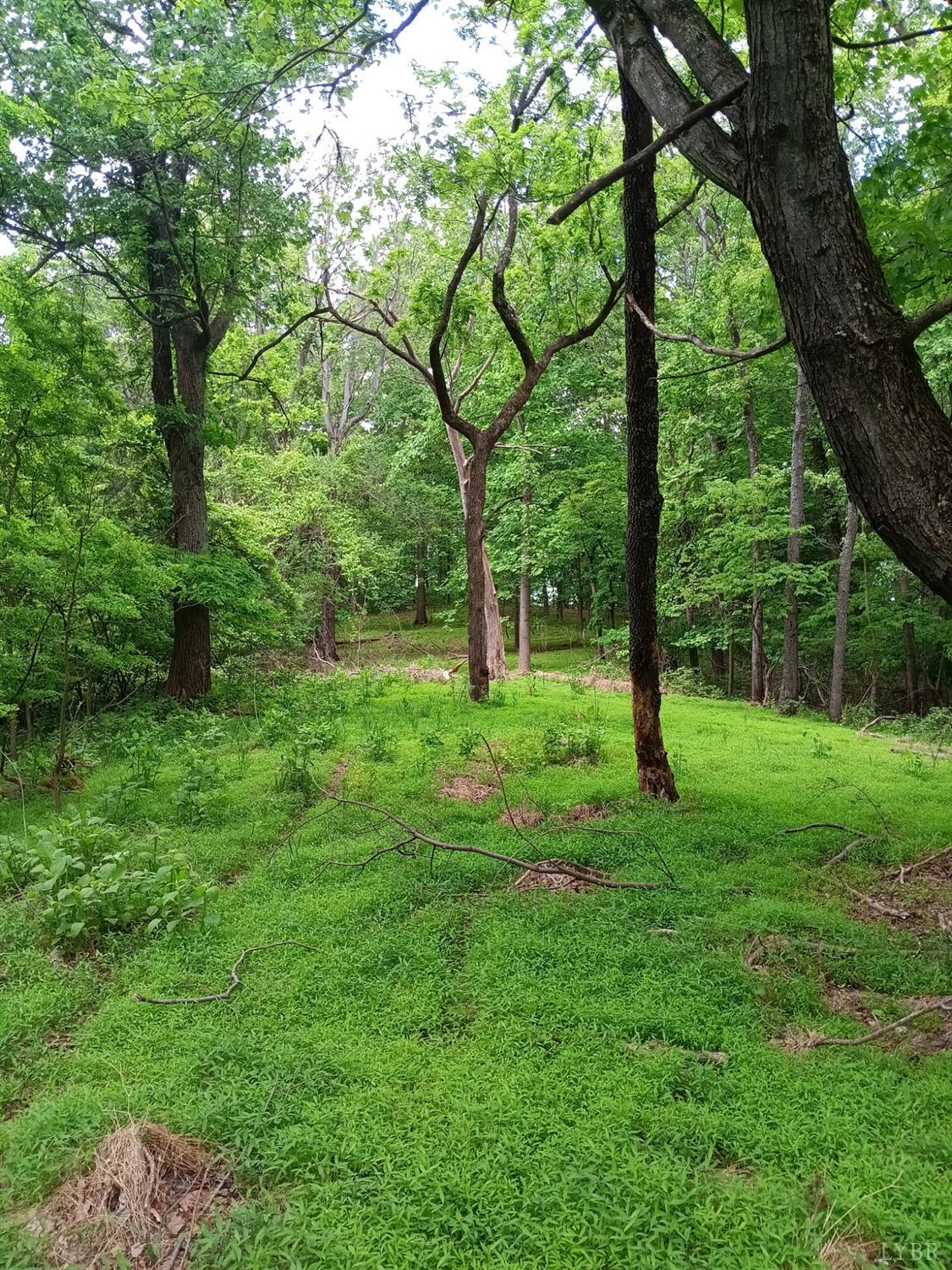 0 North Fork Road Amherst, VA 24521 - Photo 22 of 27