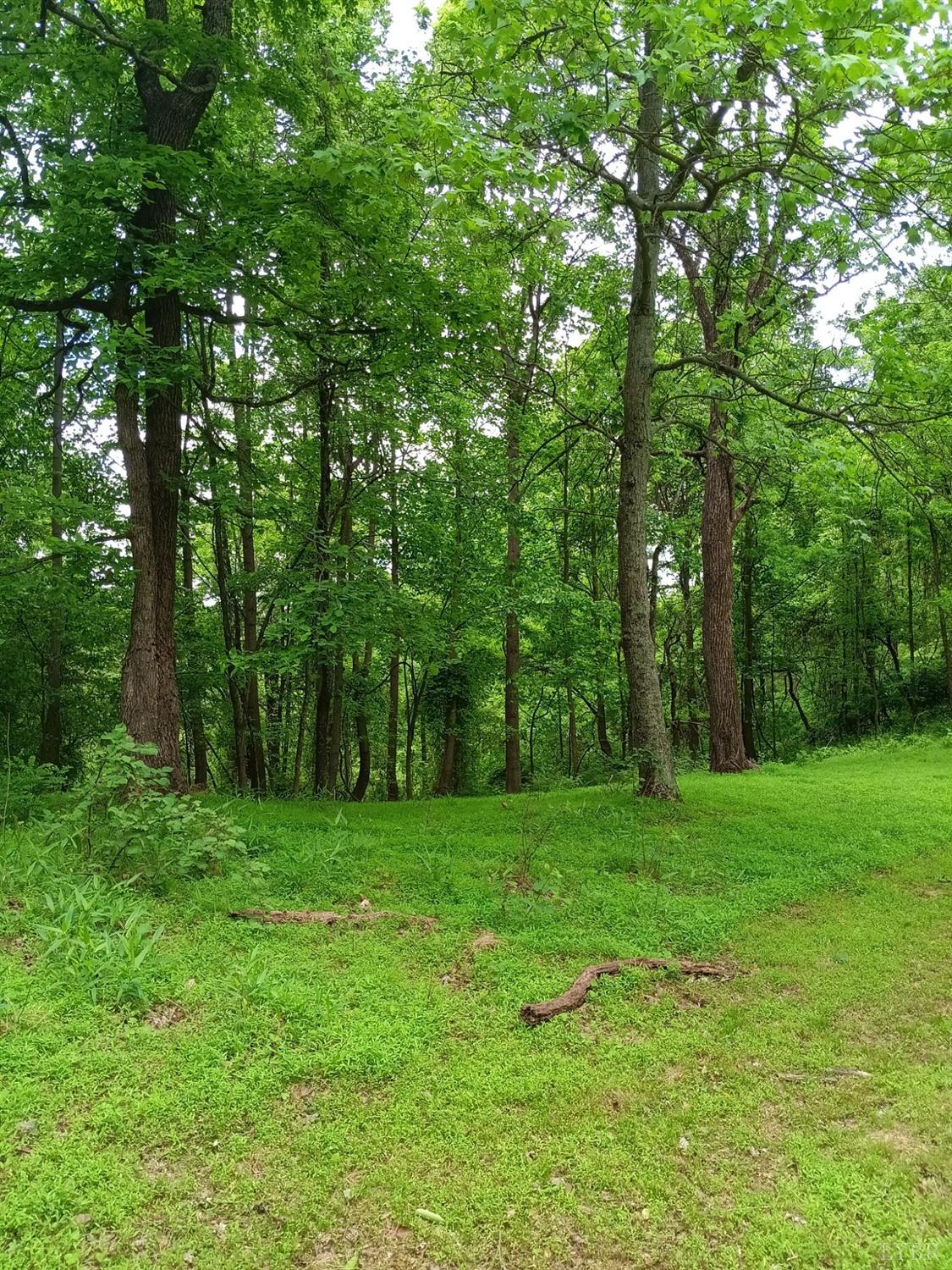 0 North Fork Road Amherst, VA 24521 - Photo 23 of 27